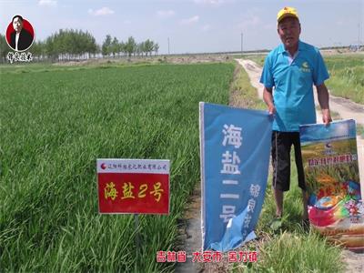 吉林省-大安市-舍力鎮