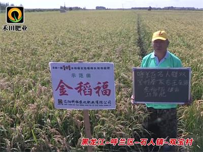 黑龍江-呼蘭區-石人鎮-雙寶村